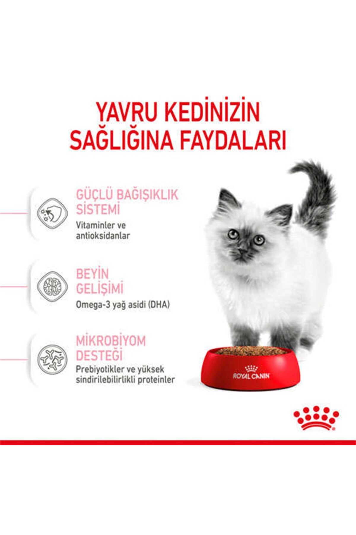 Kitten%20Yavru%20Kuru%20Kedi%20Maması%202%20Kg