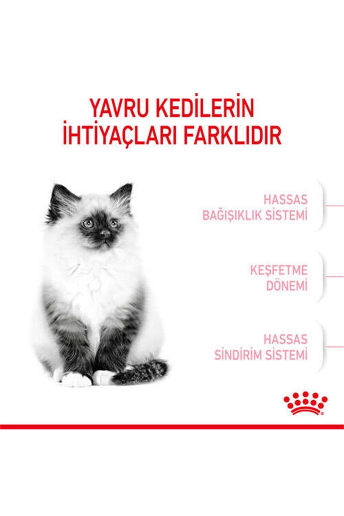 Kitten%20Yavru%20Kuru%20Kedi%20Maması%202%20Kg