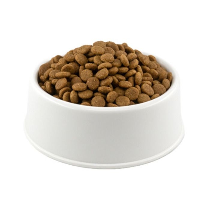 Açık%20Royal%20Canin%20British%20Shorthair%20Kedi%20Maması%201%20kg