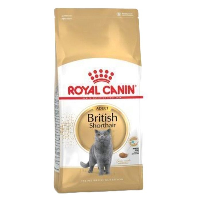 British%20Shorthaır%20Yetişkin%20Kedi%20Maması%20Açık