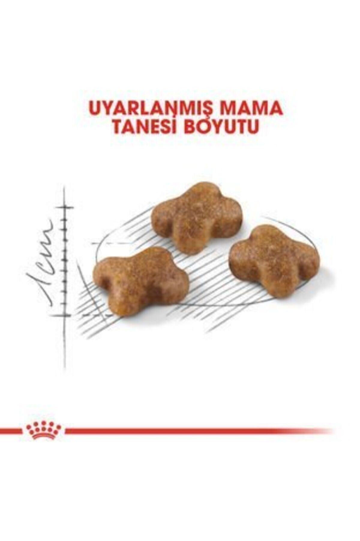 Kitten%20Yavru%20Kuru%20Kedi%20Maması%204%20Kg