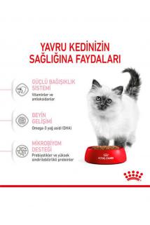 Kitten Yavru Kuru Kedi Maması 2 Kg