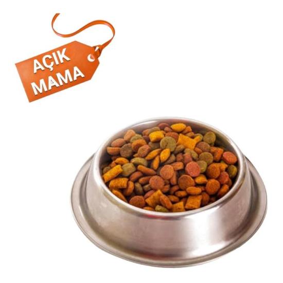 Açık Hipoalerjenik Az Tahıllı Somonlu Yetişkin Kedi Maması 1kg