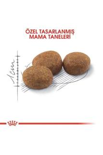 Sterilised Kısırlaştırılmış Kedi Maması 10 Kg