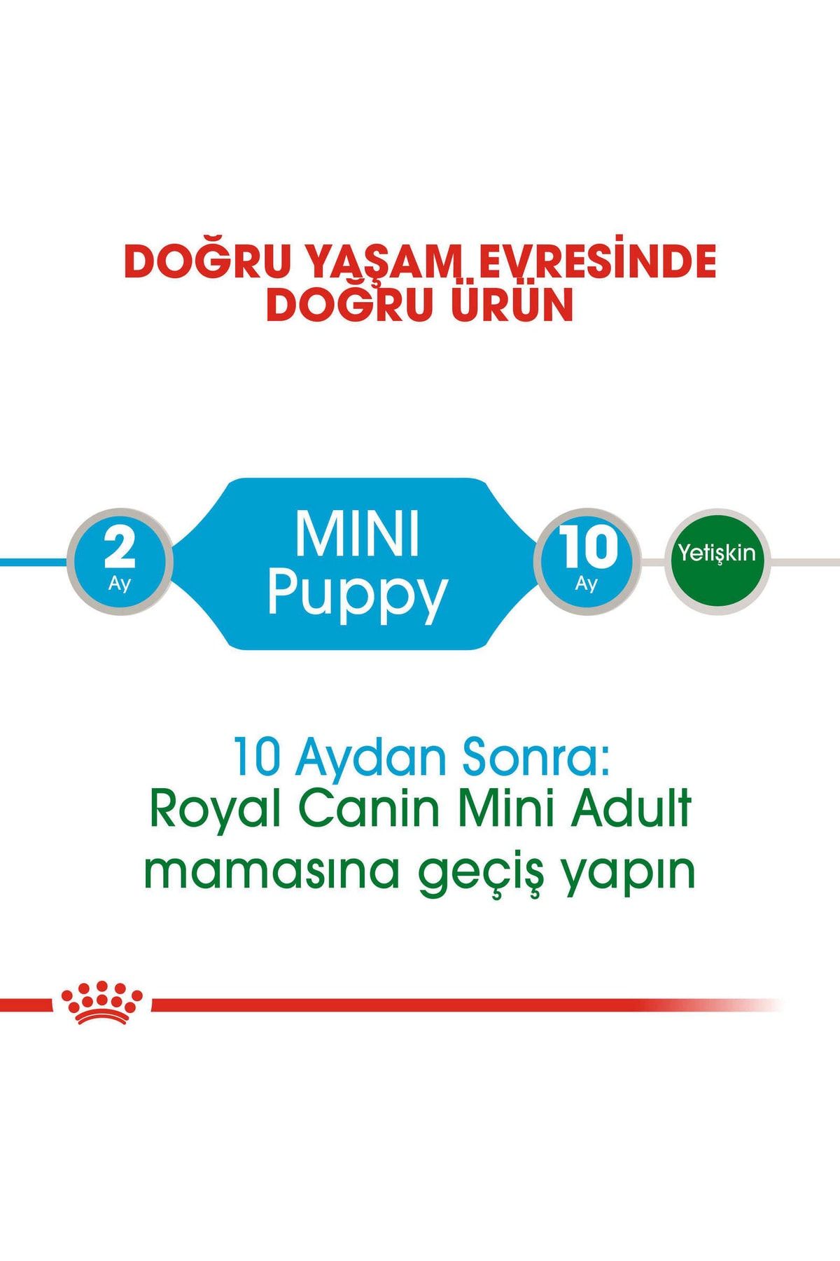 6%20ADET%20ROYAL%20CANIN%20MINI%20PUPPY%20POUCH%2085%20GR